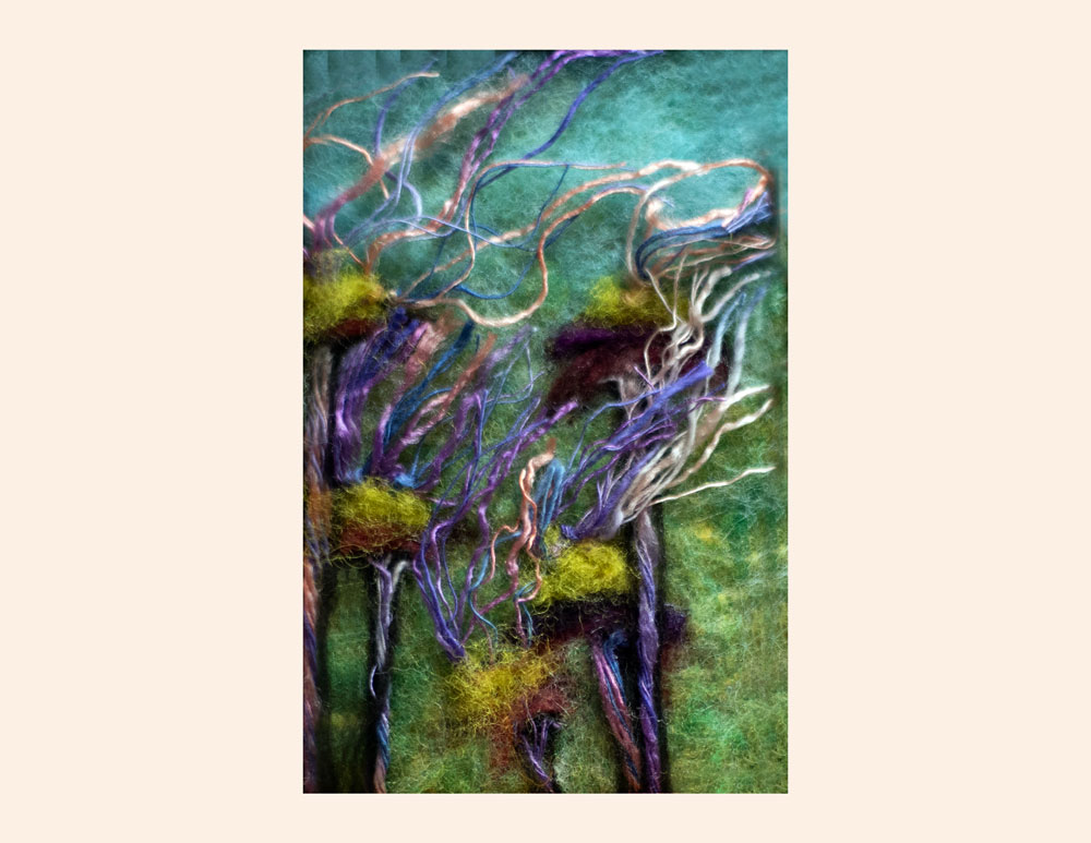 Art Kelly McLeod Geum Trifolium Prairie Smoke
